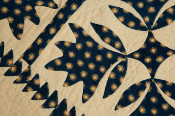 Blue and White Applique Quilt