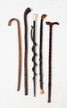 Five Canes and Walking Sticks