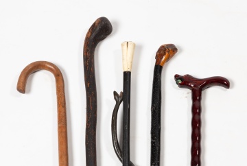 Five Canes and Walking Sticks