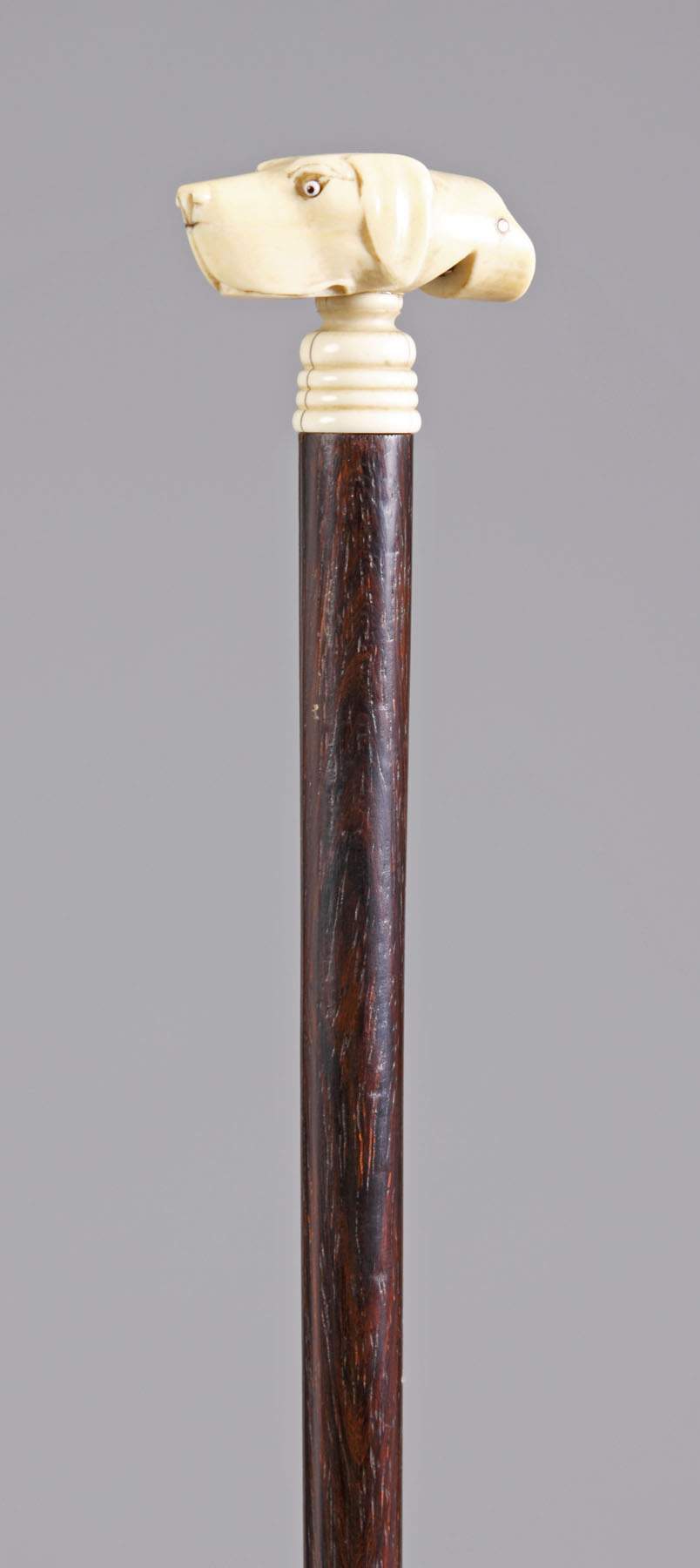 Carved Ivory Dog Head Whistle Walking Stick Cottone Auctions