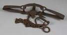S. Newhouse Bear Trap