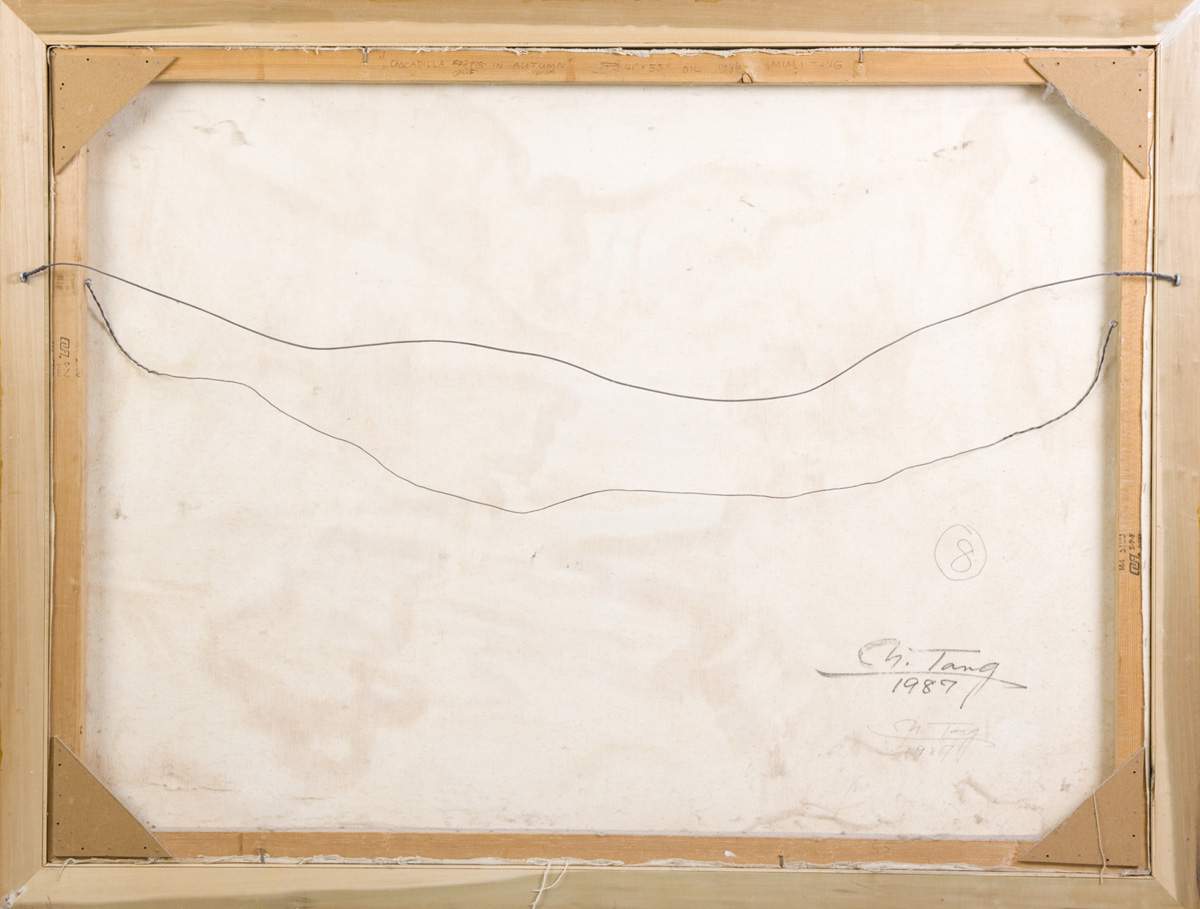 Muli Tang "Cascadilla Creek in Autumn"