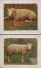 2 Alexis Jean Fournier (American,1865-1948) Sheep paintings