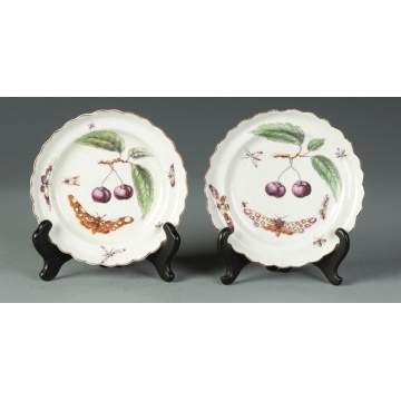 Pair of 18th Cent. Porcelain Decorated Plates