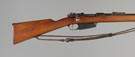 Mauser Rifle, Model Argentie 1891
