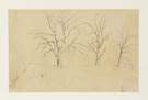 Charles Burchfield (American, 1893-1967) Pencil Study w/Trees