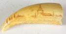 Early 19th Cent. Scrimshaw Tooth