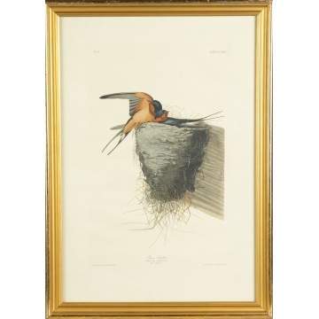 John James Audubon (American, 1785-1851) (After), Barn Swallow Hirundo Americana Plate CLXXIII