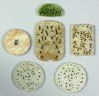 Group of Six Jade Plaques & Pendants
