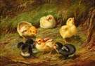 Arthur Fitzwilliam Tait (American, 1819-1905) Chicks