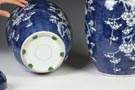 Chinese Blue & White Porcelain Temple Jars