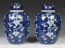 Chinese Blue & White Porcelain Temple Jars