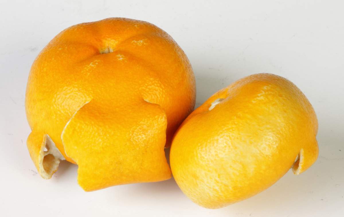 Japanese Carved Ivory Tangerines Cottone Auctions