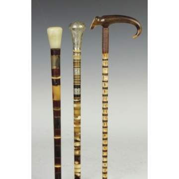 Horn Canes & Shark Cartilage Cane