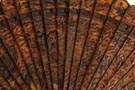 Chinese Carved Tortoise Shell Fan