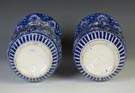Pair of Chinese Blue & White Porcelain Vases
