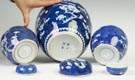 Chinese Blue & White Porcelain Ginger Jars