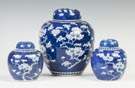 Chinese Blue & White Porcelain Ginger Jars