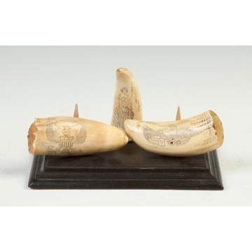Scrimshaw Whale's Teeth 