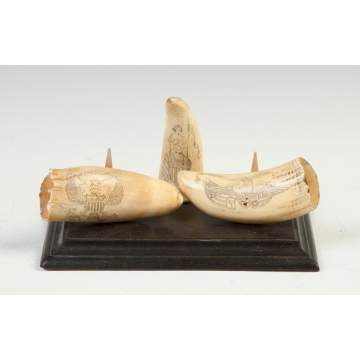 Scrimshaw Whale's Teeth 