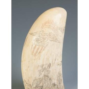 Scrimshaw Whale's Tooth 